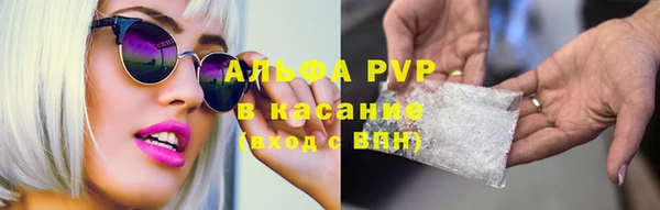 винт Алексин