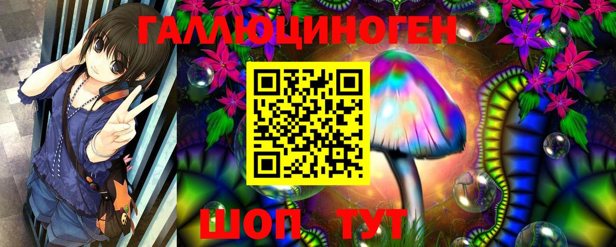 Ковров  Псилоцибиновые грибы Cubensis  Вход с VPN 