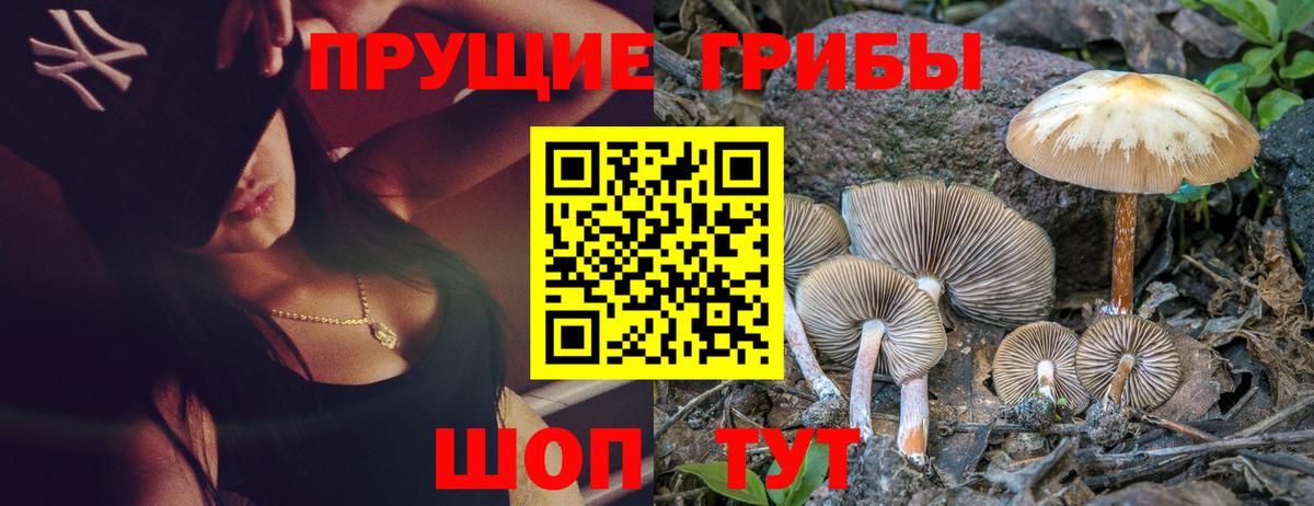 Галлюциногенные грибы GOLDEN TEACHER Ковров