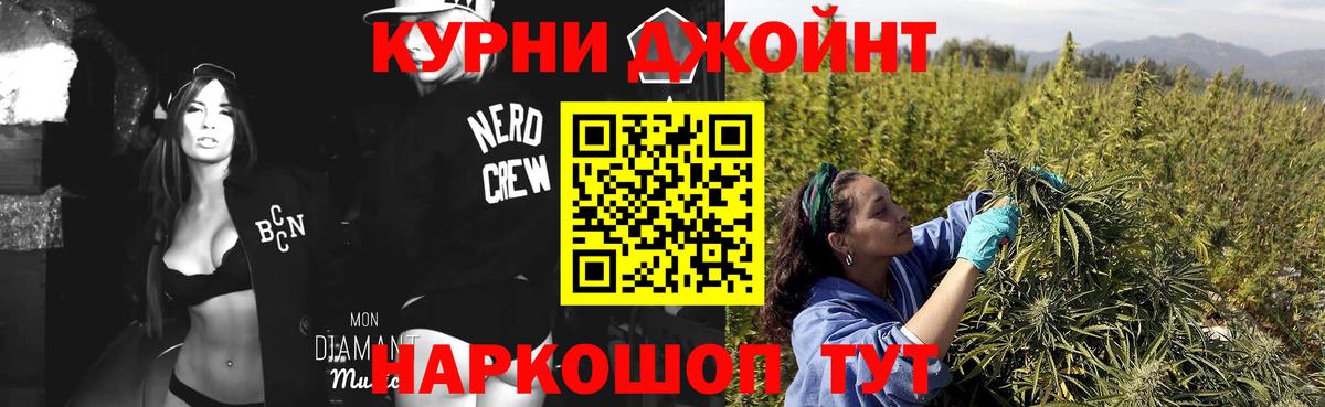Марихуана сатива Ковров